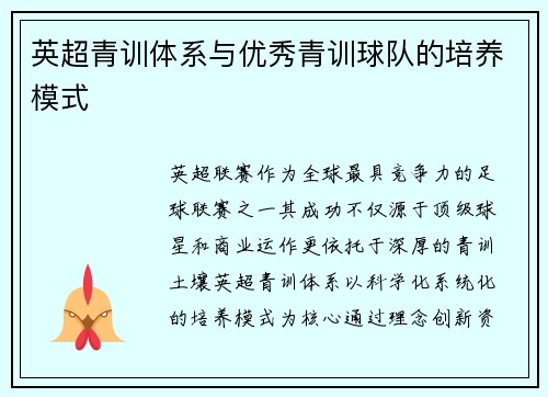 英超青训体系与优秀青训球队的培养模式